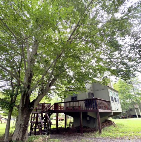 72 Red Squirrel Run Davis WV 26260