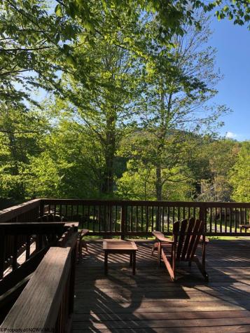 72 Red Squirrel Run Davis WV 26260