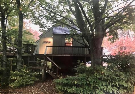 72 Red Squirrel Run Davis WV 26260