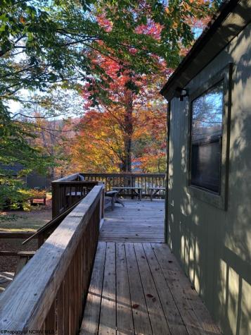 72 Red Squirrel Run Davis WV 26260