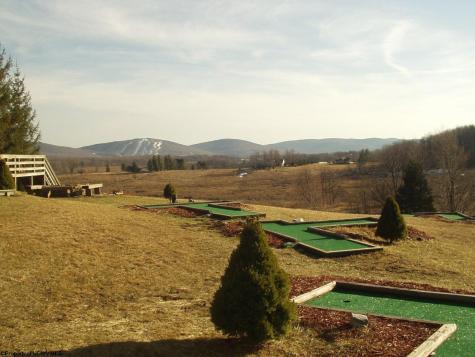 72 Red Squirrel Run Davis WV 26260