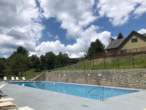 72 Red Squirrel Run Davis WV 26260