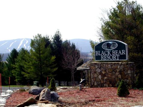 72 Red Squirrel Run Davis WV 26260