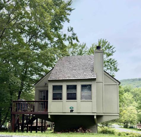 72 Red Squirrel Run Davis WV 26260