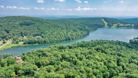 644 Pine Drive Terra Alta WV 26764
