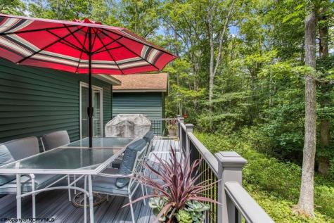 644 Pine Drive Terra Alta WV 26764