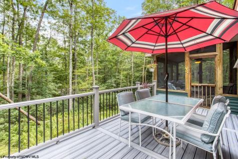 644 Pine Drive Terra Alta WV 26764