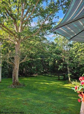 4253 Point Mountain Road Monterville WV 26282
