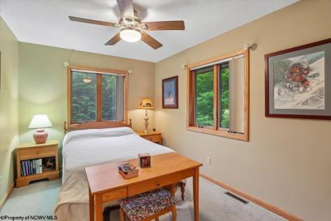 2256 Cabin Mountain Road Davis WV 26260
