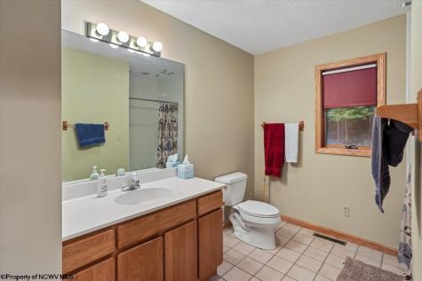 2256 Cabin Mountain Road Davis WV 26260