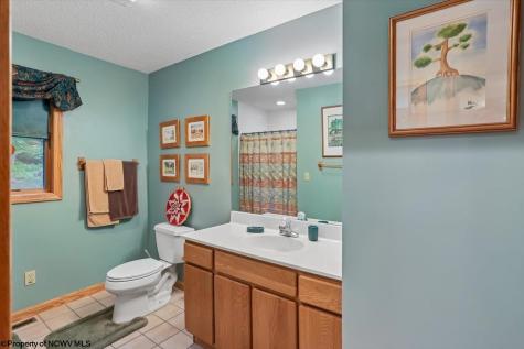 2256 Cabin Mountain Road Davis WV 26260