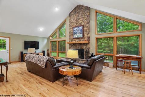 2256 Cabin Mountain Road Davis WV 26260