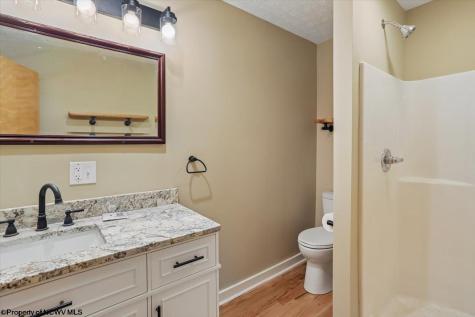 2256 Cabin Mountain Road Davis WV 26260