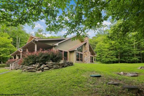 2256 Cabin Mountain Road Davis WV 26260