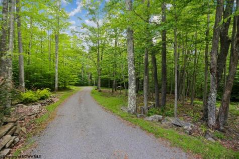 2256 Cabin Mountain Road Davis WV 26260
