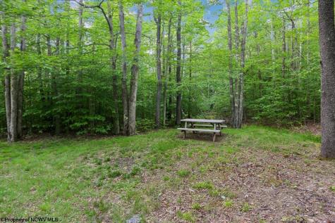 2256 Cabin Mountain Road Davis WV 26260