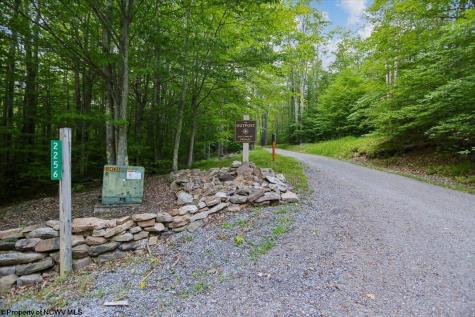 2256 Cabin Mountain Road Davis WV 26260