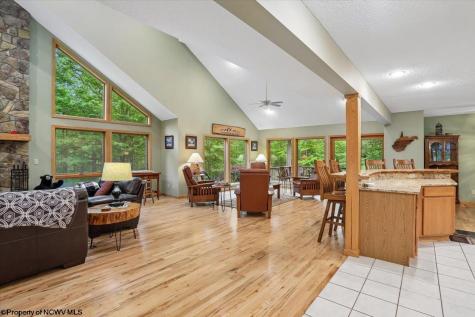 2256 Cabin Mountain Road Davis WV 26260