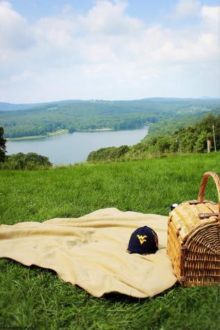 614 Hemlock Circle Terra Alta WV 26764