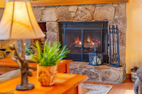 614 Hemlock Circle Terra Alta WV 26764