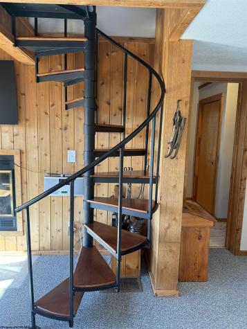 21 Bear Lair Lane Davis WV 26260