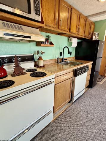 21 Bear Lair Lane Davis WV 26260