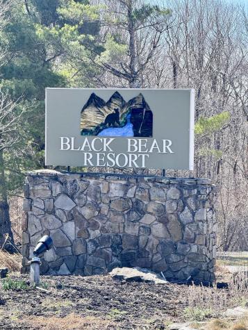 21 Bear Lair Lane Davis WV 26260