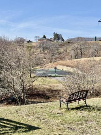 21 Bear Lair Lane Davis WV 26260