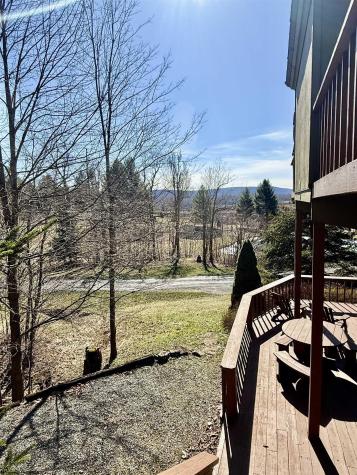 21 Bear Lair Lane Davis WV 26260
