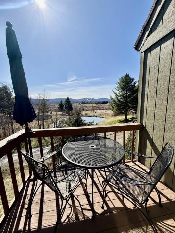 21 Bear Lair Lane Davis WV 26260