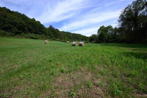 2762 Upper Pleasant Creek Road Philippi WV 26416