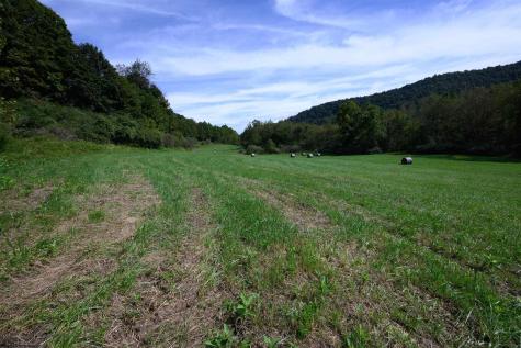 2762 Upper Pleasant Creek Road Philippi WV 26416