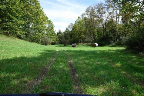 2762 Upper Pleasant Creek Road Philippi WV 26416
