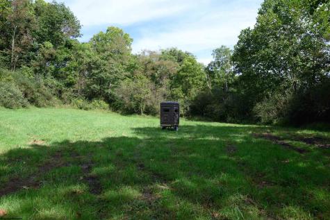 2762 Upper Pleasant Creek Road Philippi WV 26416