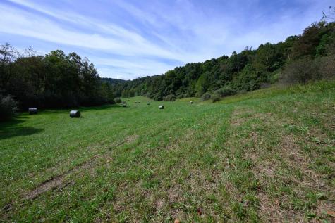 2762 Upper Pleasant Creek Road Philippi WV 26416