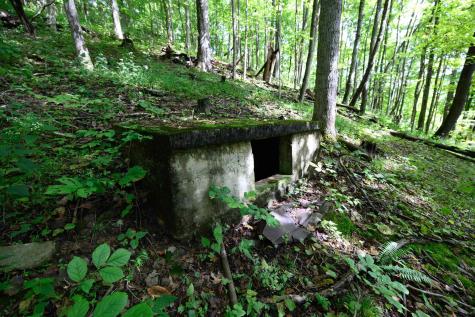 2762 Upper Pleasant Creek Road Philippi WV 26416