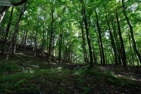 2762 Upper Pleasant Creek Road Philippi WV 26416