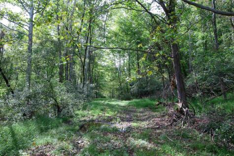 2762 Upper Pleasant Creek Road Philippi WV 26416
