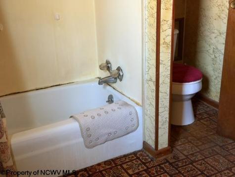 88 Curtis Lane Belington WV 26250