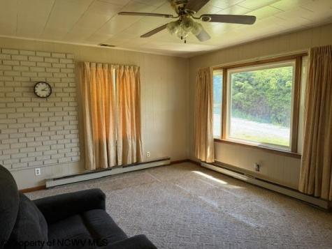 88 Curtis Lane Belington WV 26250