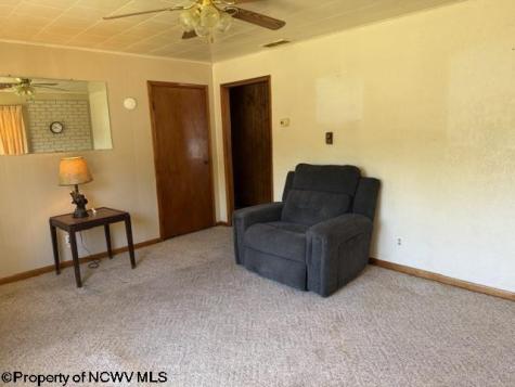88 Curtis Lane Belington WV 26250
