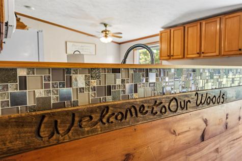 134 Endicott Street Bruceton Mills WV 26525