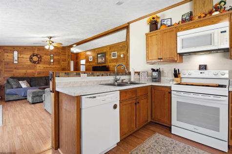 134 Endicott Street Bruceton Mills WV 26525