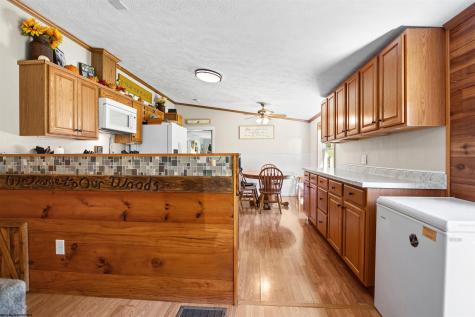 134 Endicott Street Bruceton Mills WV 26525