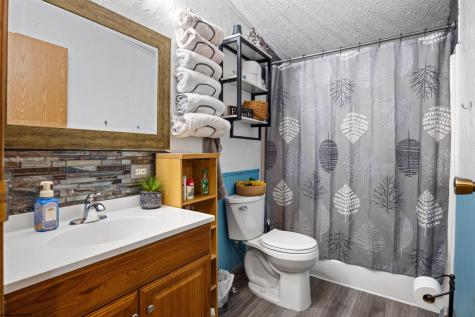 134 Endicott Street Bruceton Mills WV 26525