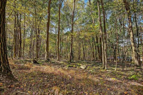 134 Endicott Street Bruceton Mills WV 26525