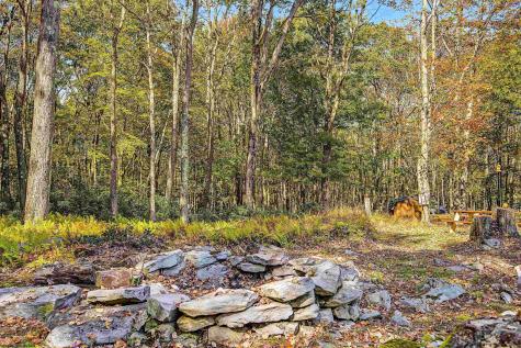 134 Endicott Street Bruceton Mills WV 26525