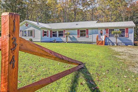 134 Endicott Street Bruceton Mills WV 26525