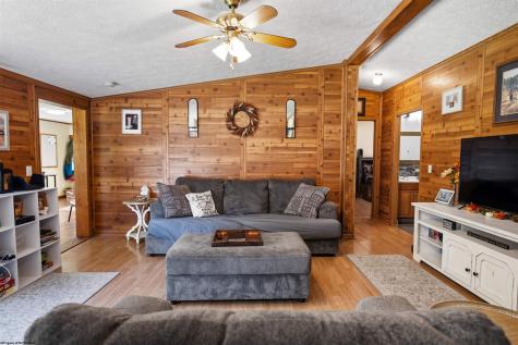 134 Endicott Street Bruceton Mills WV 26525