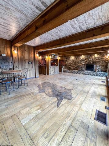 6867 Seneca Trail Parsons WV 26287-0000